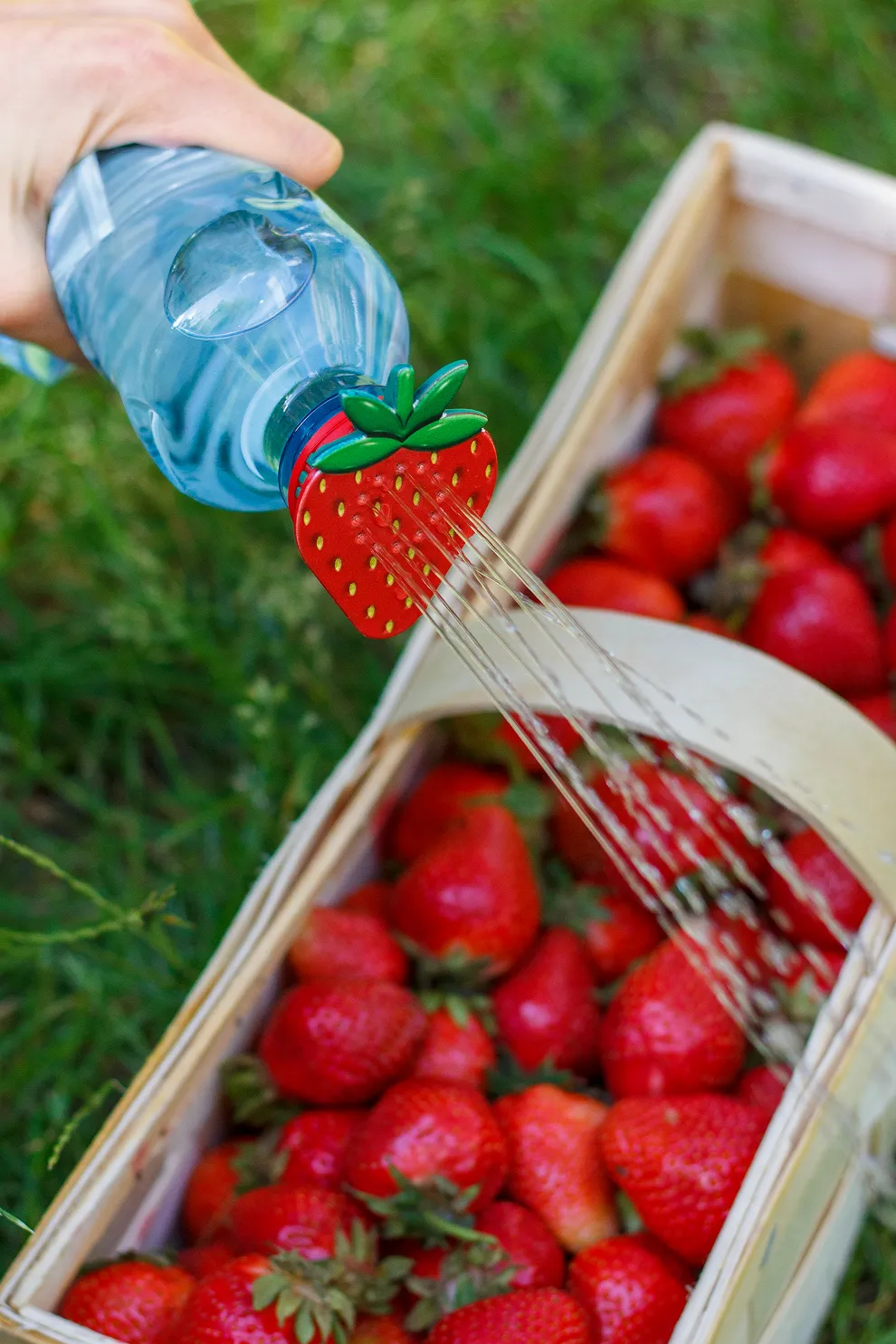 Woda leje się z butelki przez ekonewkę w kształcie truskawki