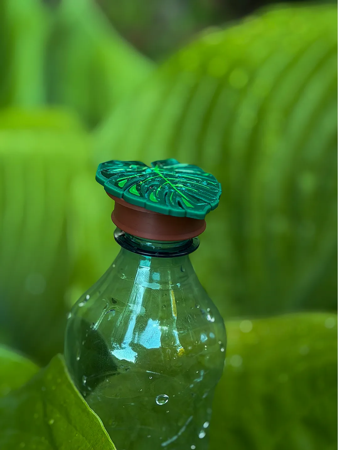 Butelka z ekonewką monstera wśród zielonych liści