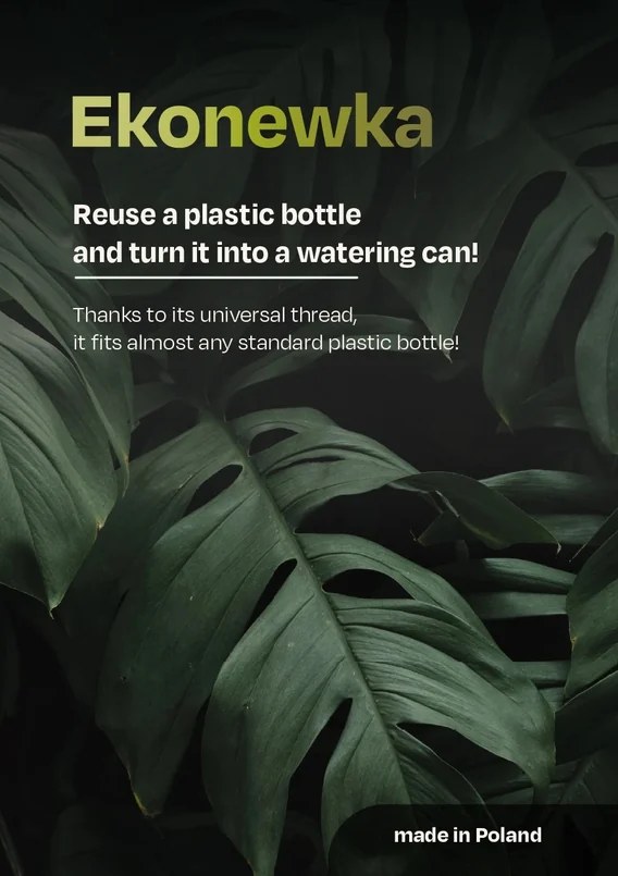 Front of the Ekonewka card – product name on a background of monstera leaves