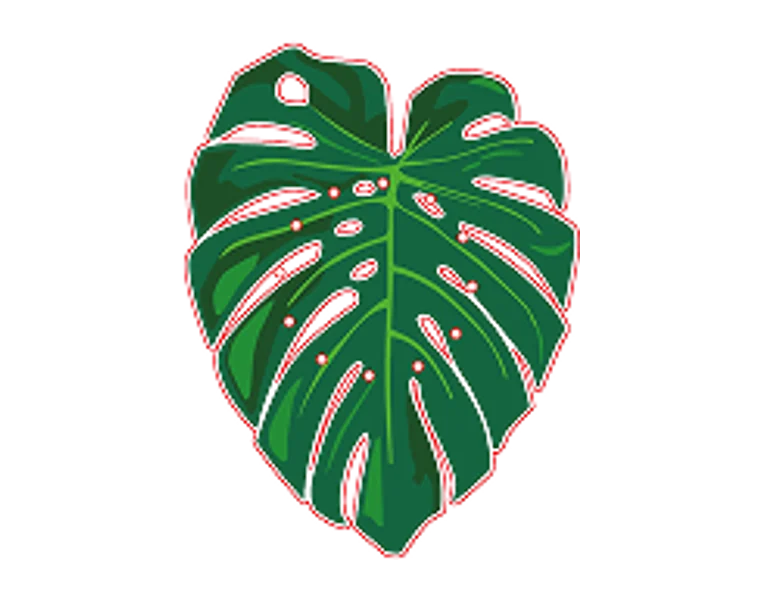 Monstera – wzór ekonewki